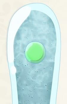 Tentacle Alien