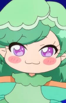 Cabbage